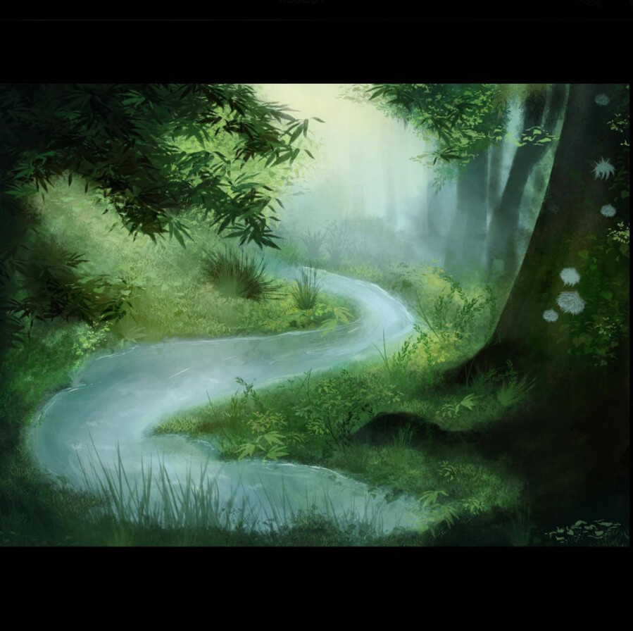 Foggy forrest