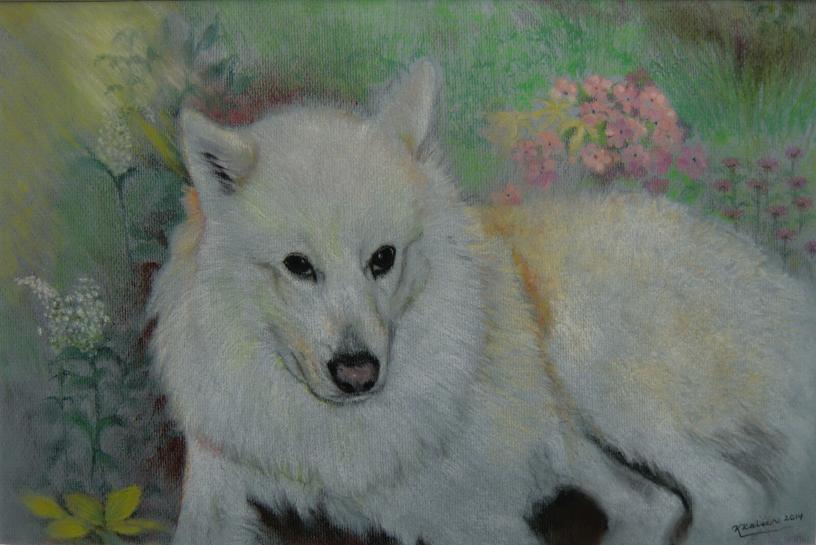 Zeus 2014