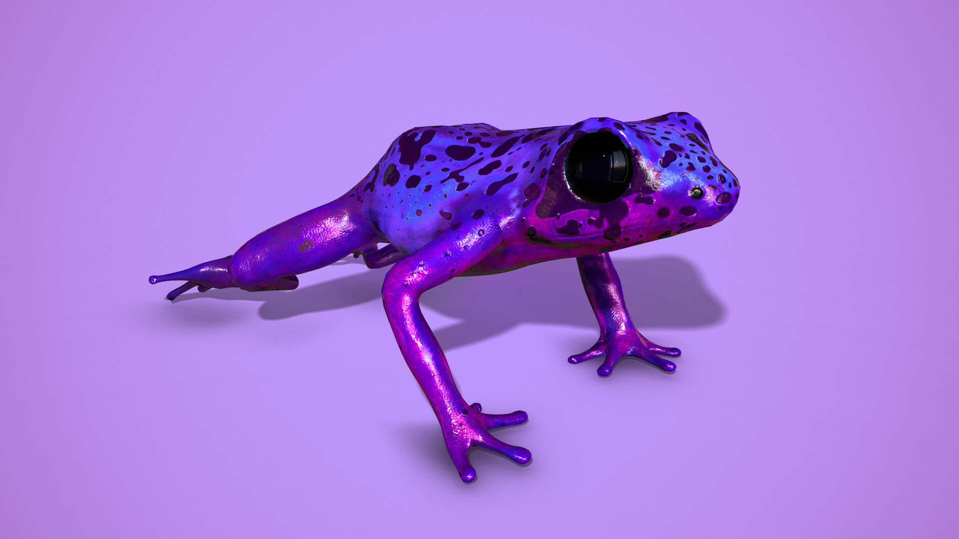 Purple Poison Dart Frog