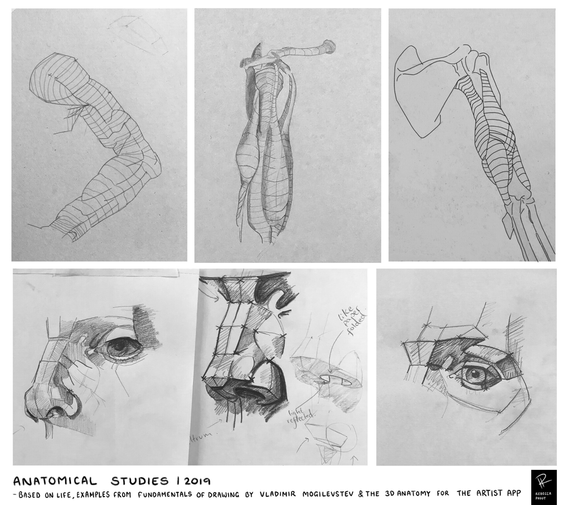 ArtStation Anatomy & Life Drawing