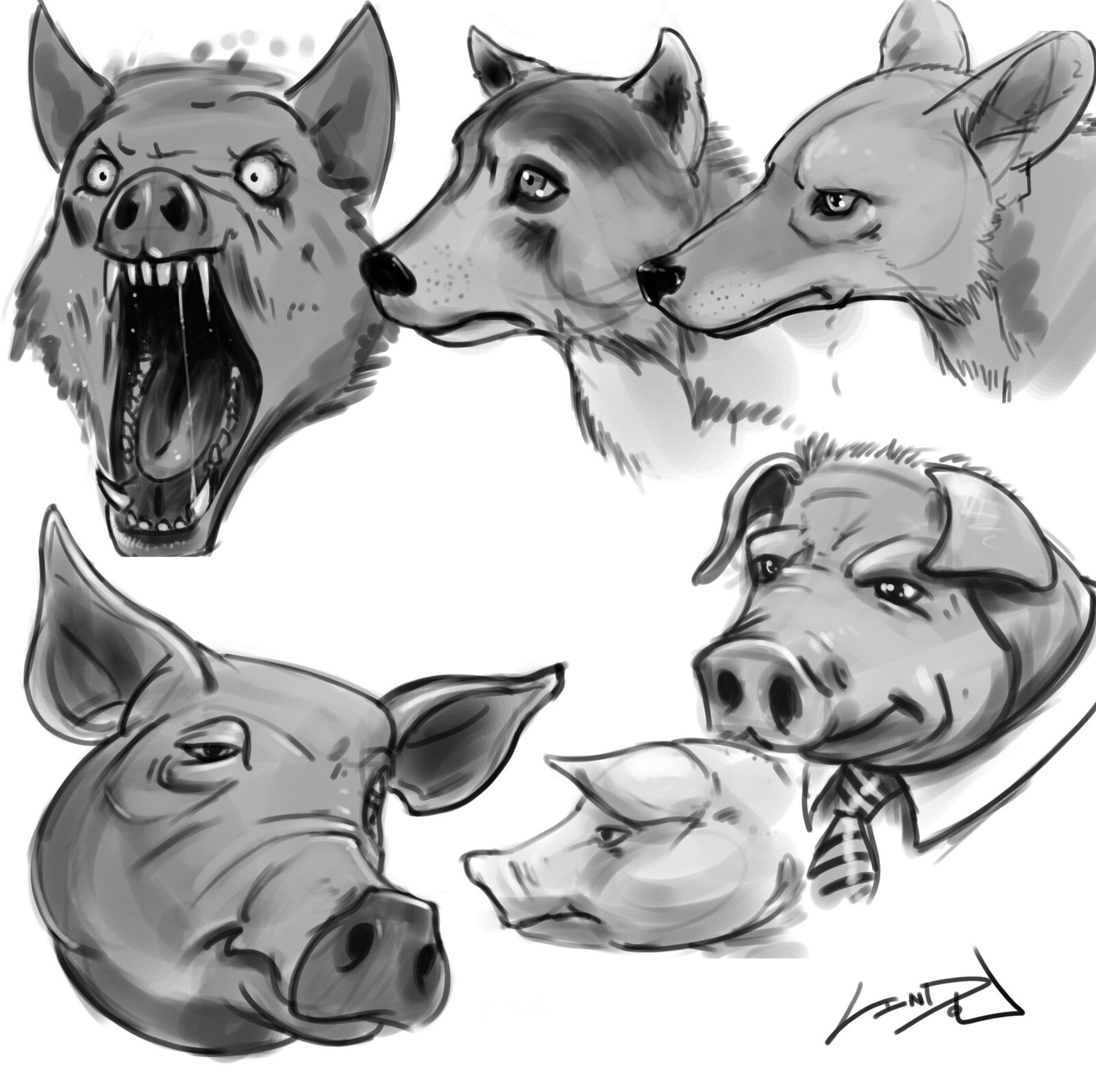 Sketches of some pigs and wolves.