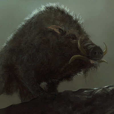 Adnan ali boar