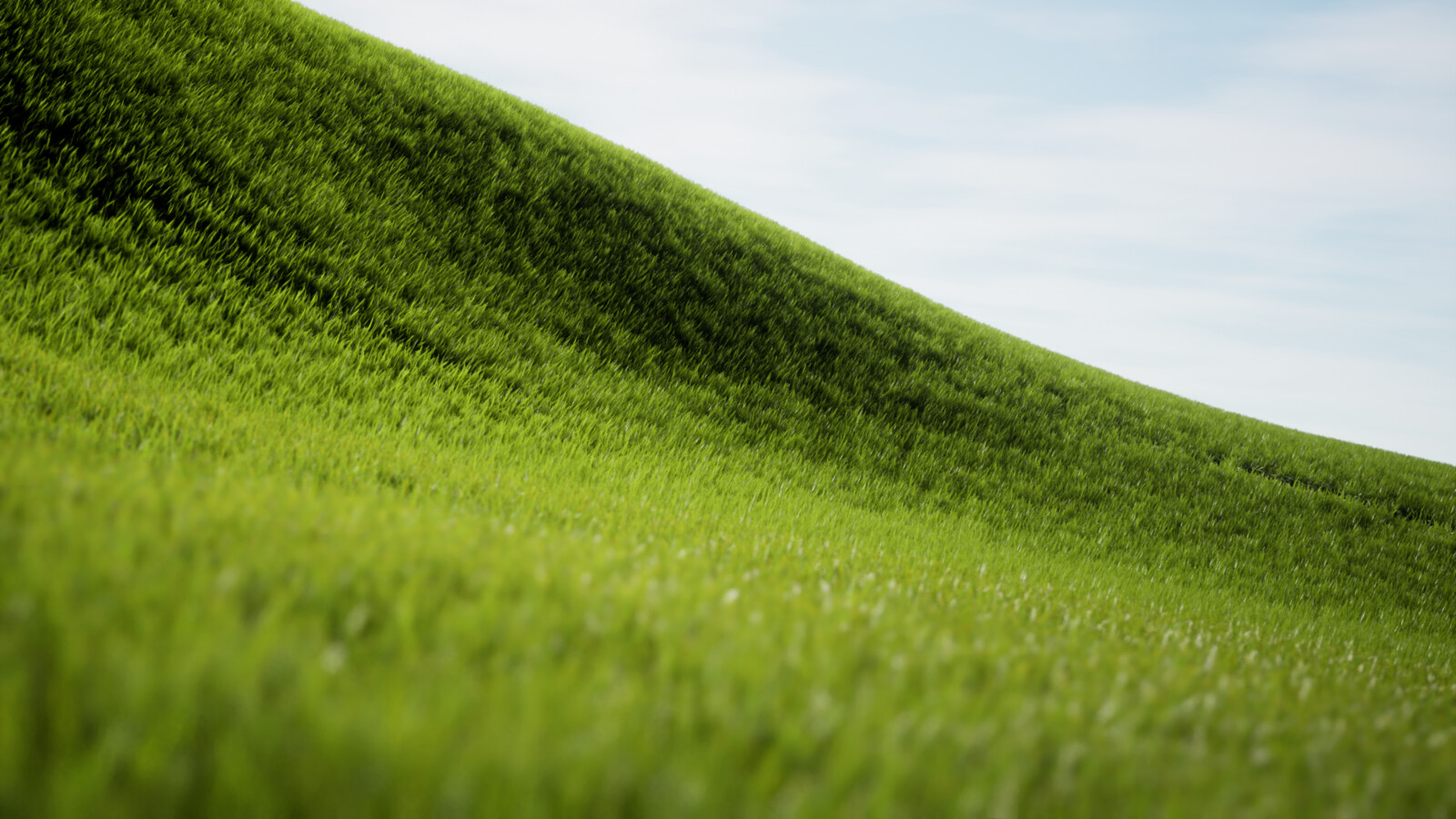 windows xp inspired hills bulut