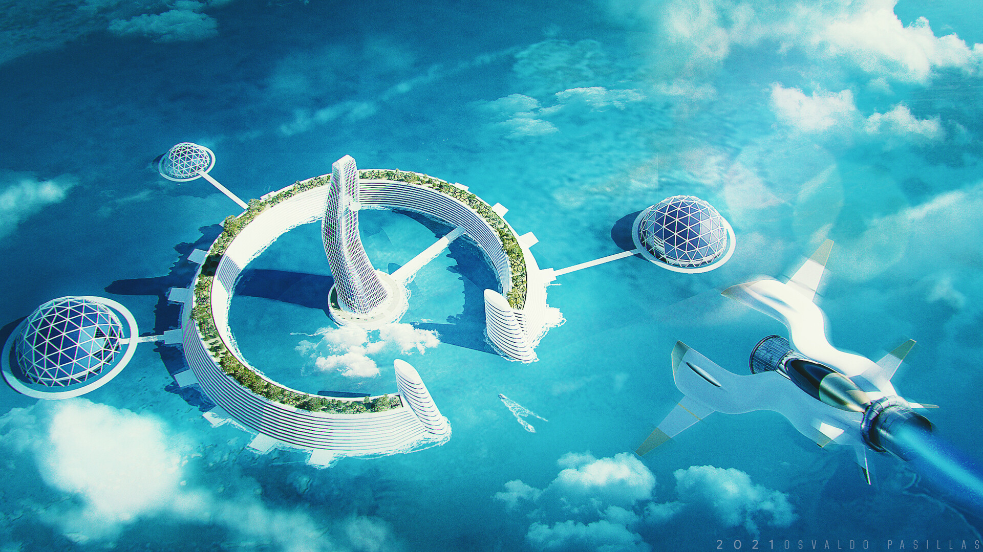 The venus project
