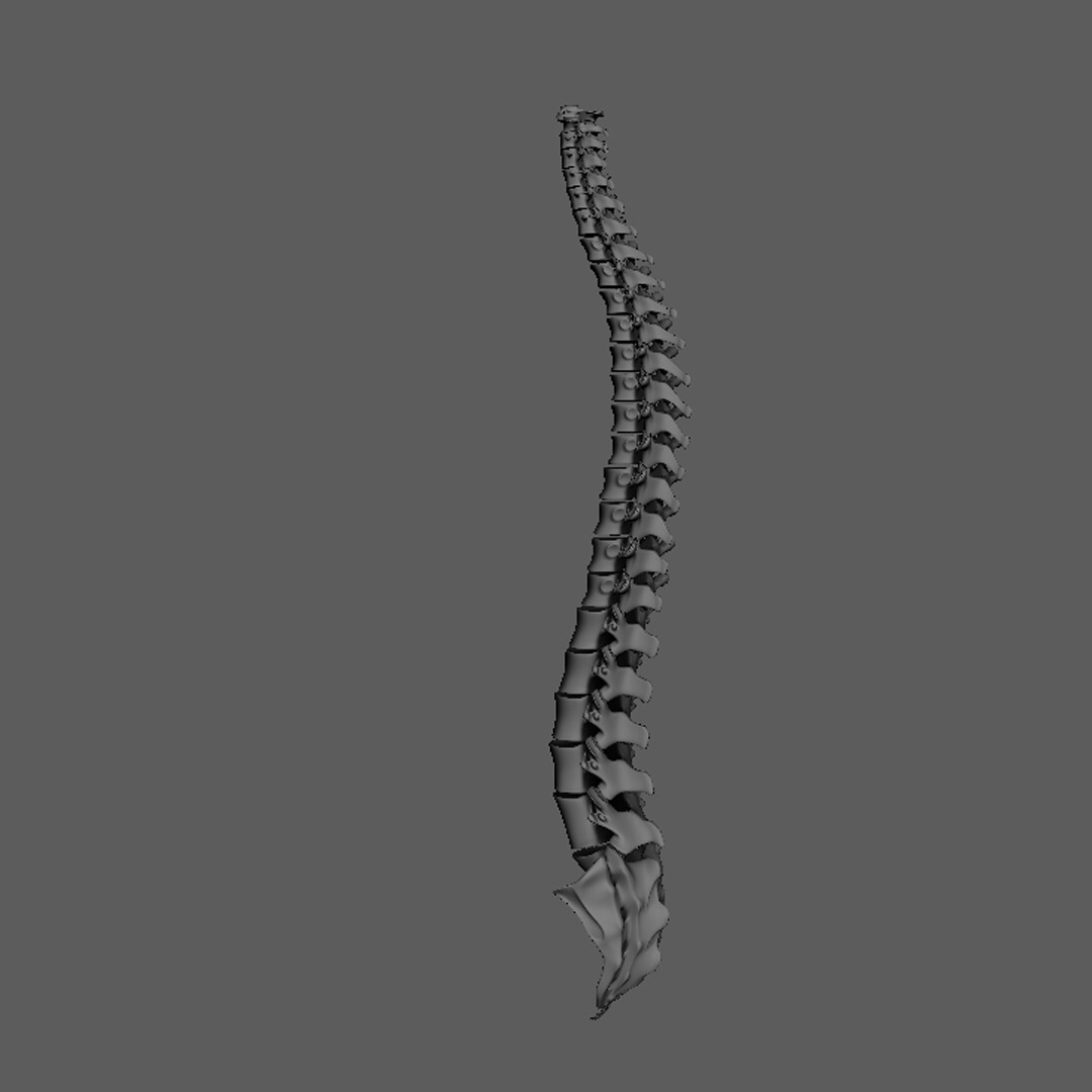 ArtStation - Spine (in process)