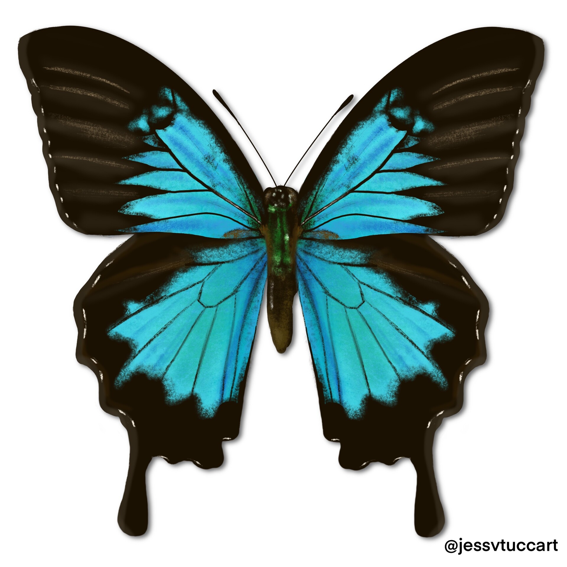 ArtStation - Papilio Ulysses