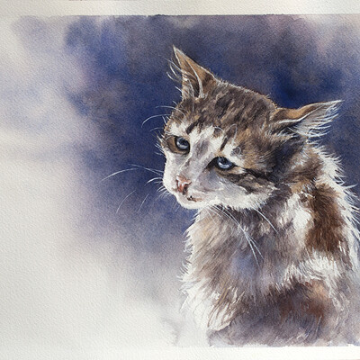 Artstation Chat A L Aquarelle