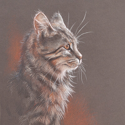 Artstation Chat A L Aquarelle