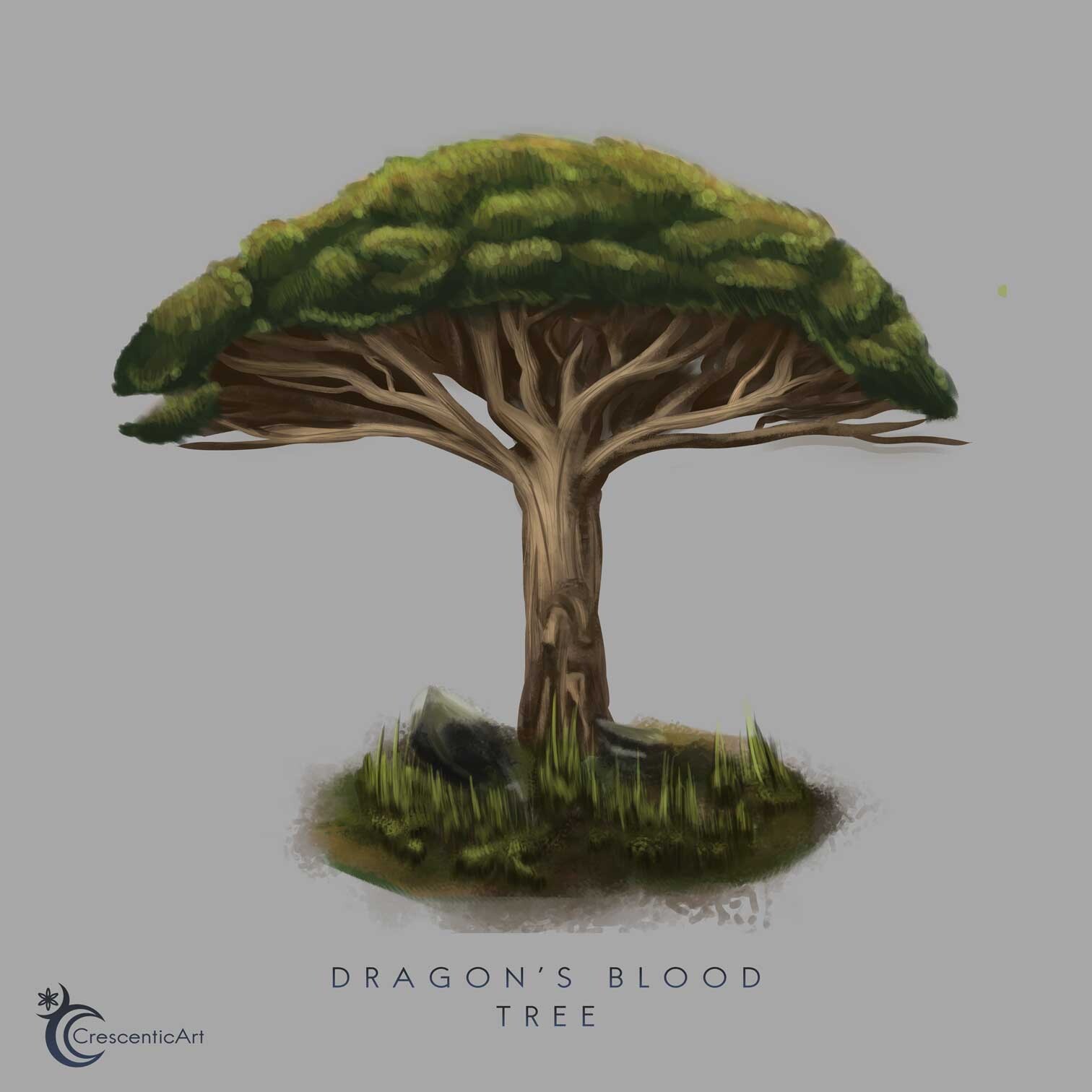 Artstation Dragon S Blood Tree Jeanne Le Grange Artstation Dragon S Blood Tree Jeanne Le Grange