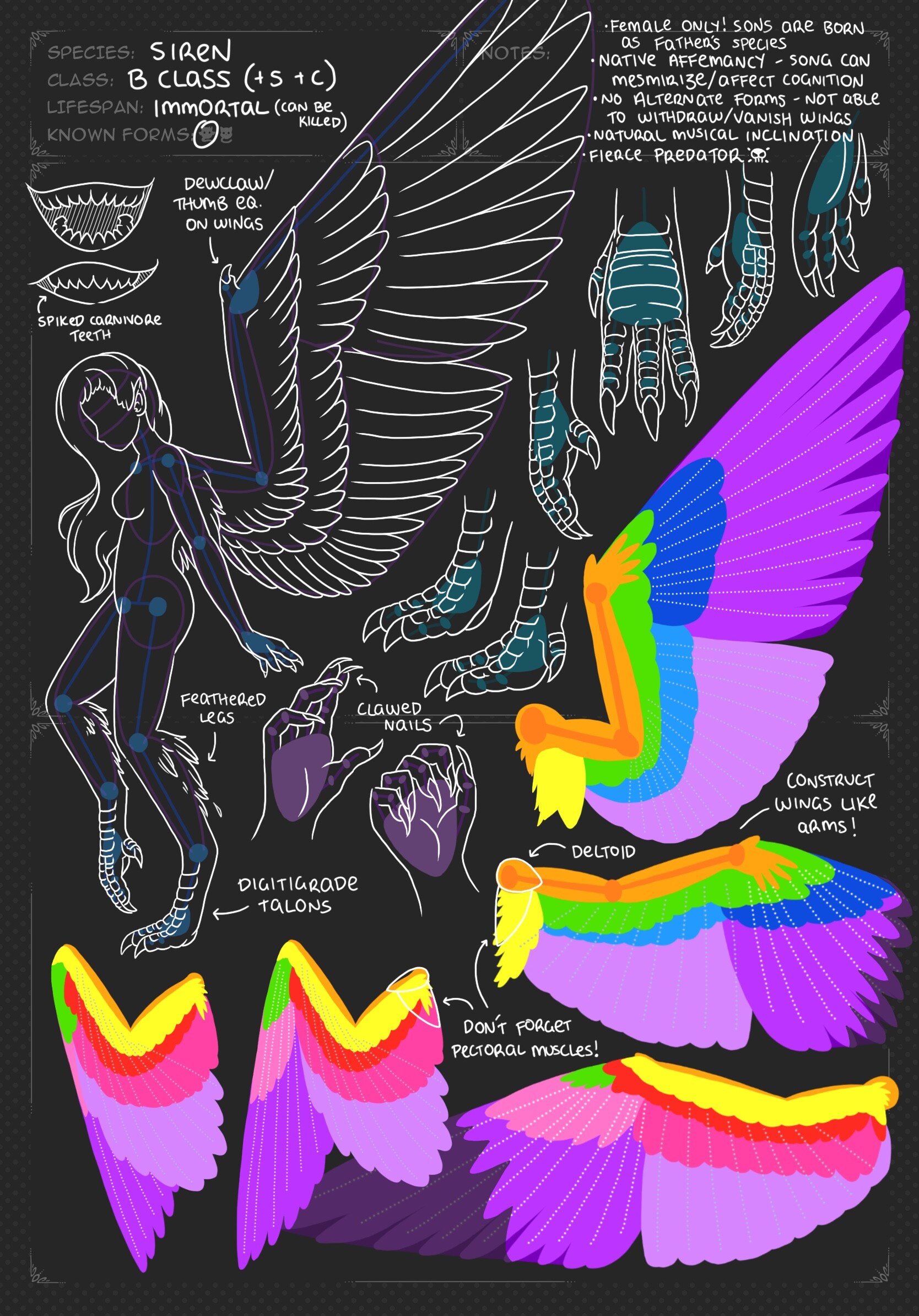ArtStation Siren Wing Reference