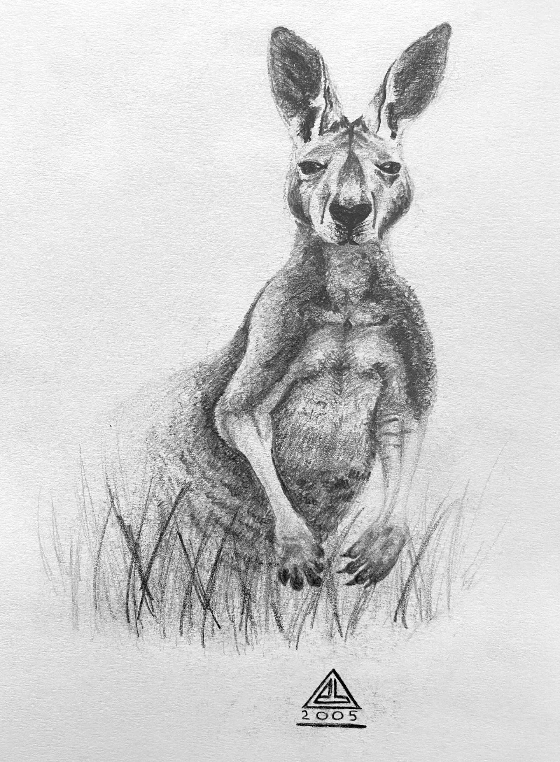 Funny Cute Baby Kangaroo Head Sketch Stock Vector Royalty Free 615976595   Shutterstock