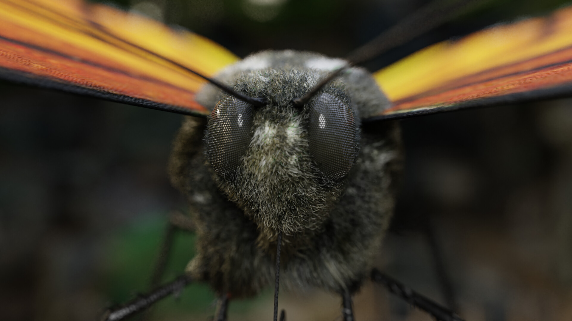 ArtStation Monarch Butterfly