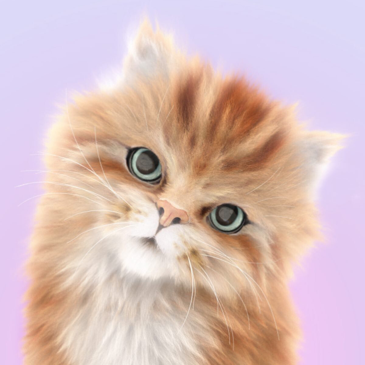 Kittens