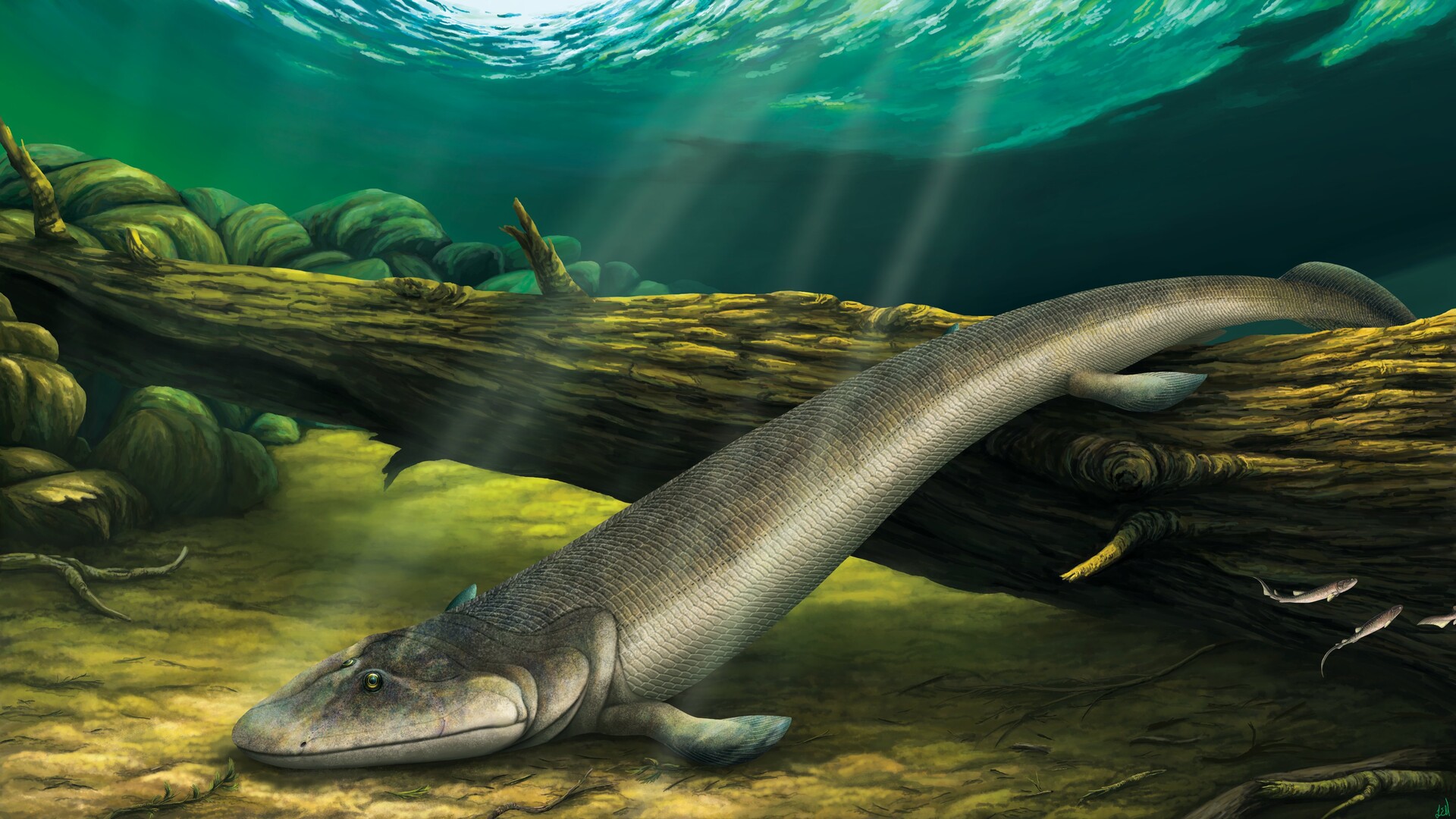 ArtStation - Tiktaalik roseae