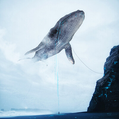 Pawel kozera the loneliest whale on earth sm