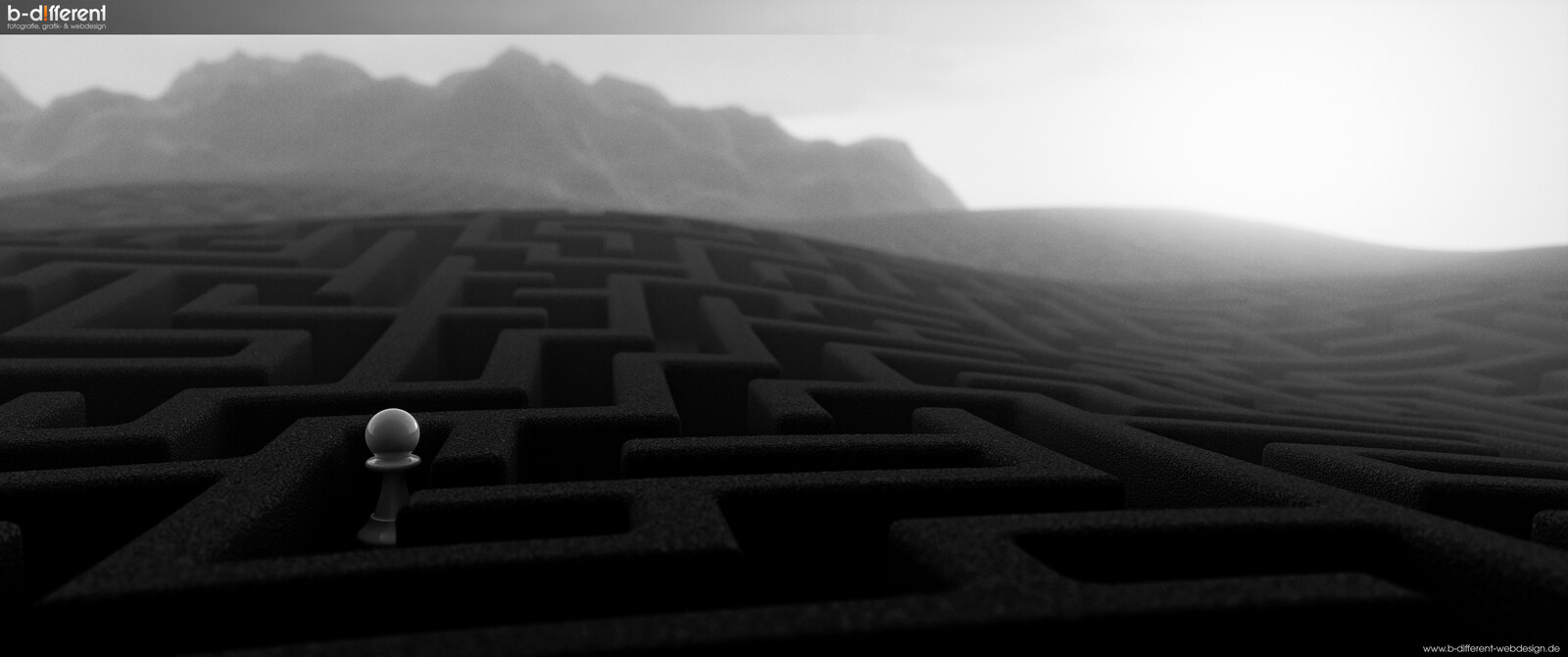 "Lost" | black &amp; white