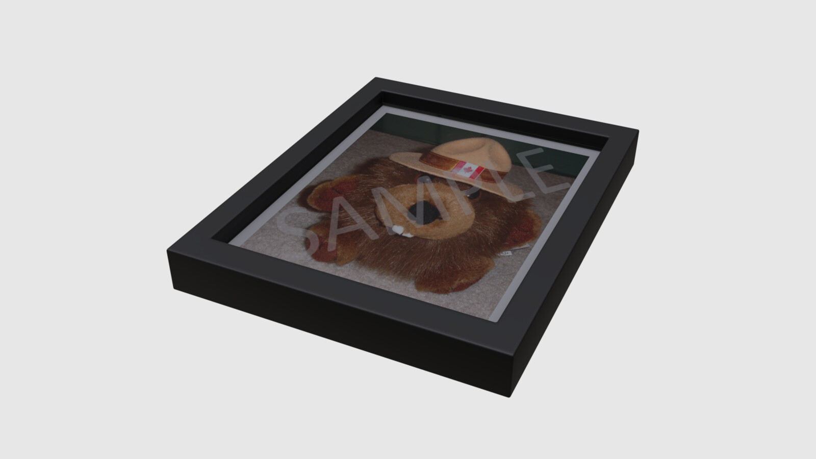 Picture frame with editable image