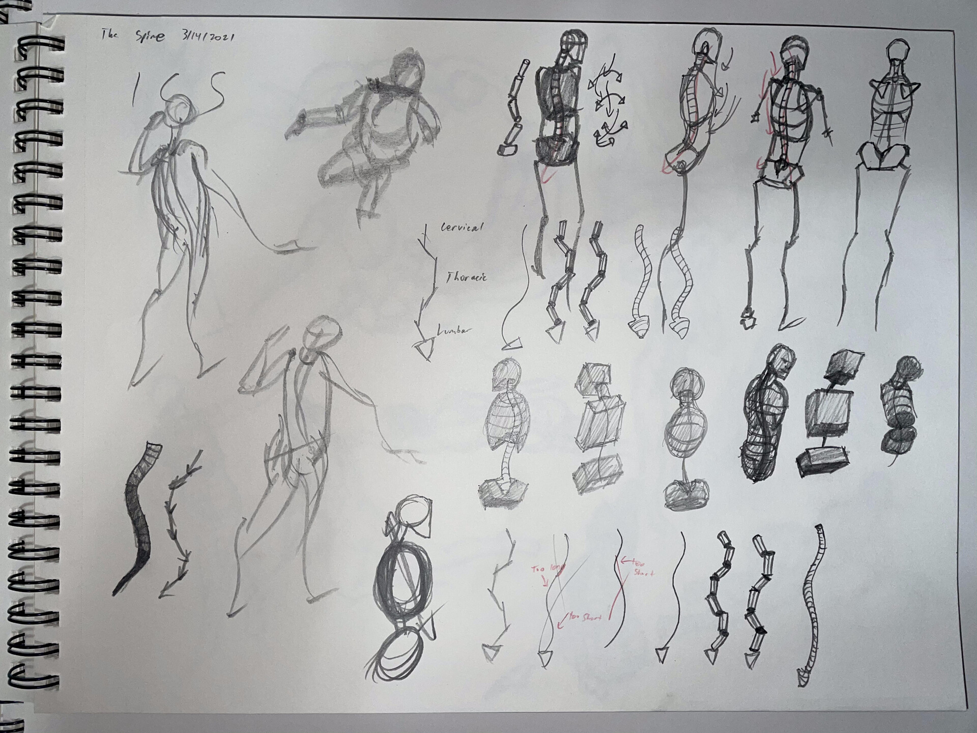 Victor Dimitroff Figure Drawing Design and Invention Gesture