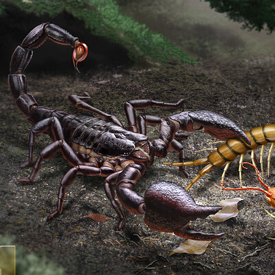 Peter kovacs scorpion