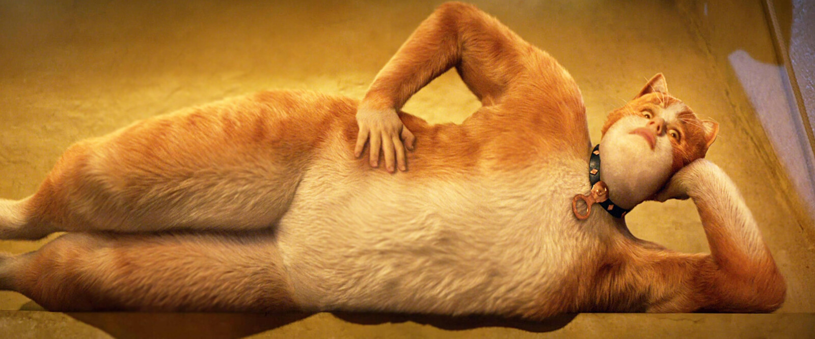 Кот инопланетянин. Я просто кот. Кот с человеческими руками. Я кот. Коты с человеческими руками.