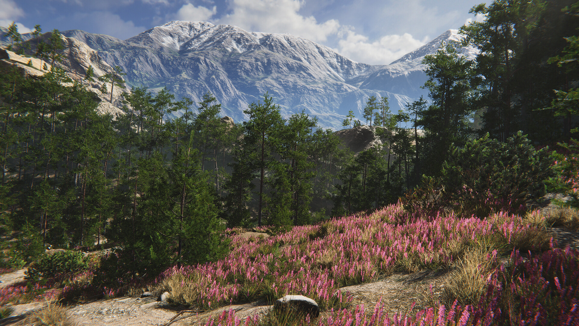 Mountain environment. Mountain environment. Mountain environment. Frostbite mountain. горный пейзаж.