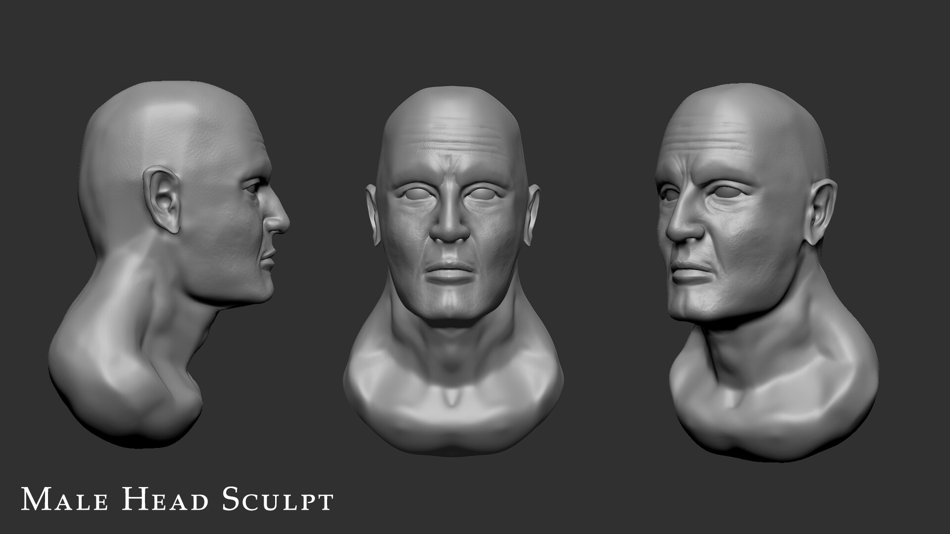 ArtStation - Male Head Anatomy Study