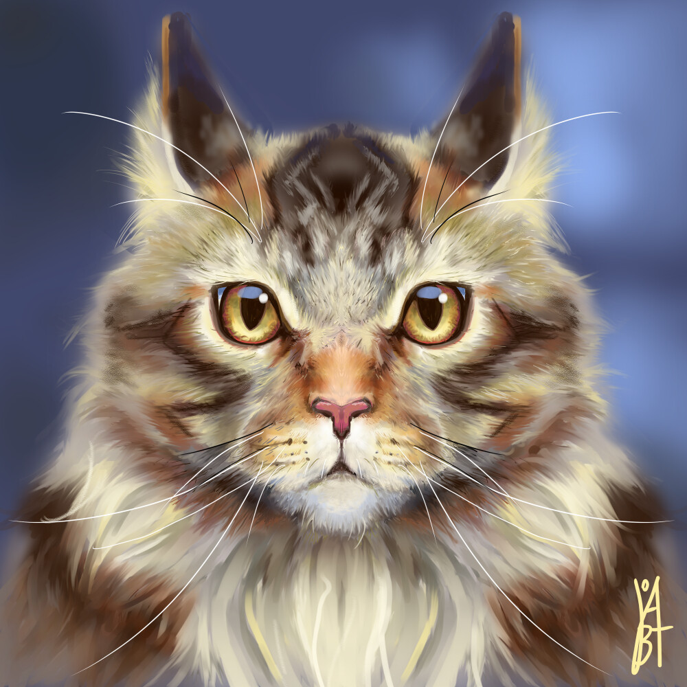An image of a maine coon cat created by me using digital art.