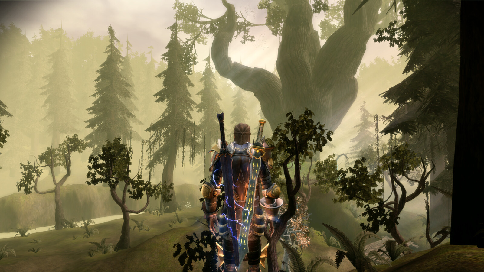 Artstation Dragon Age Origins Brecilian Forest Reverse Pixel