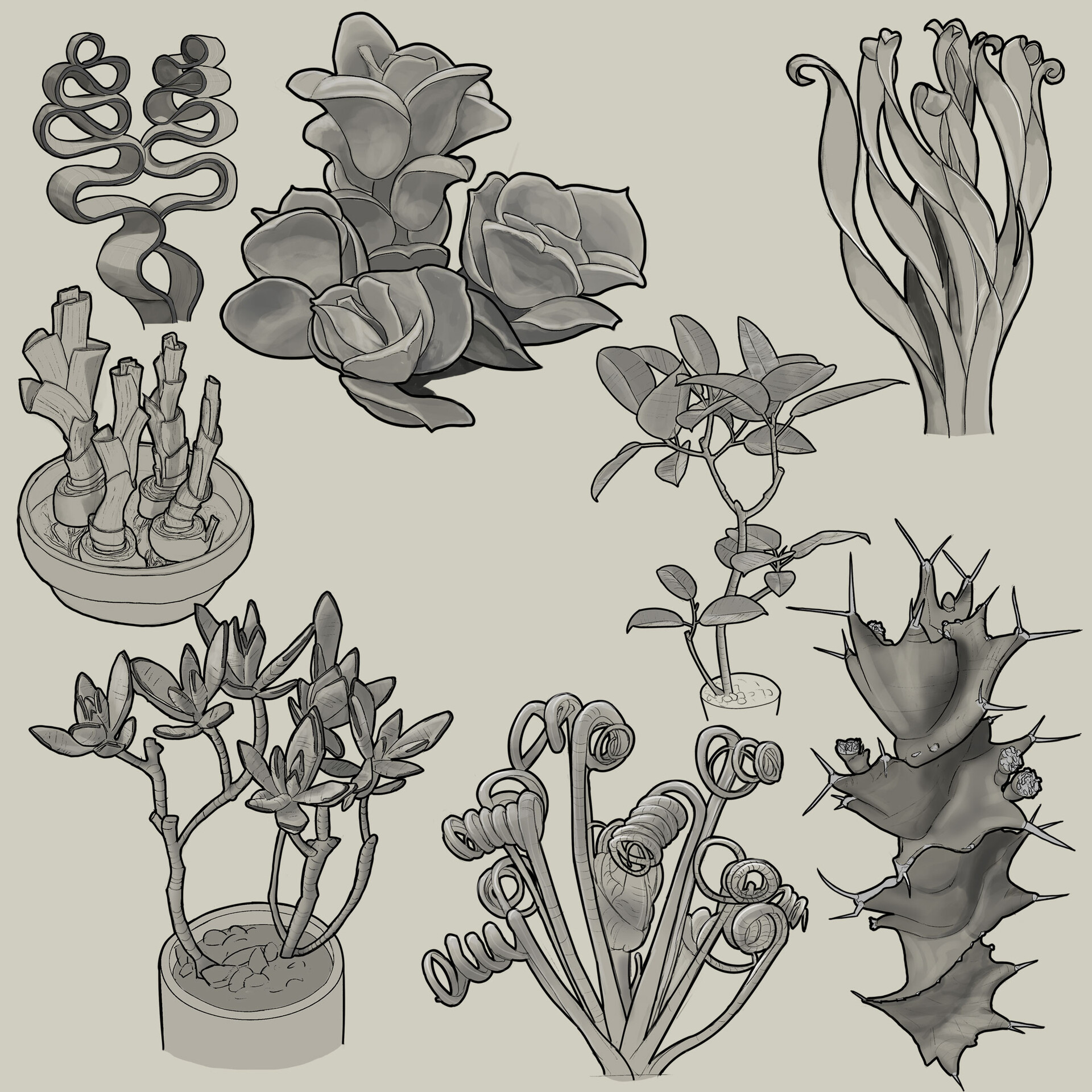 ArtStation - Plants studies