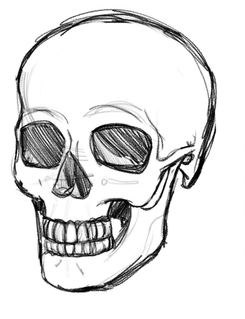 ArtStation - Skull sketches
