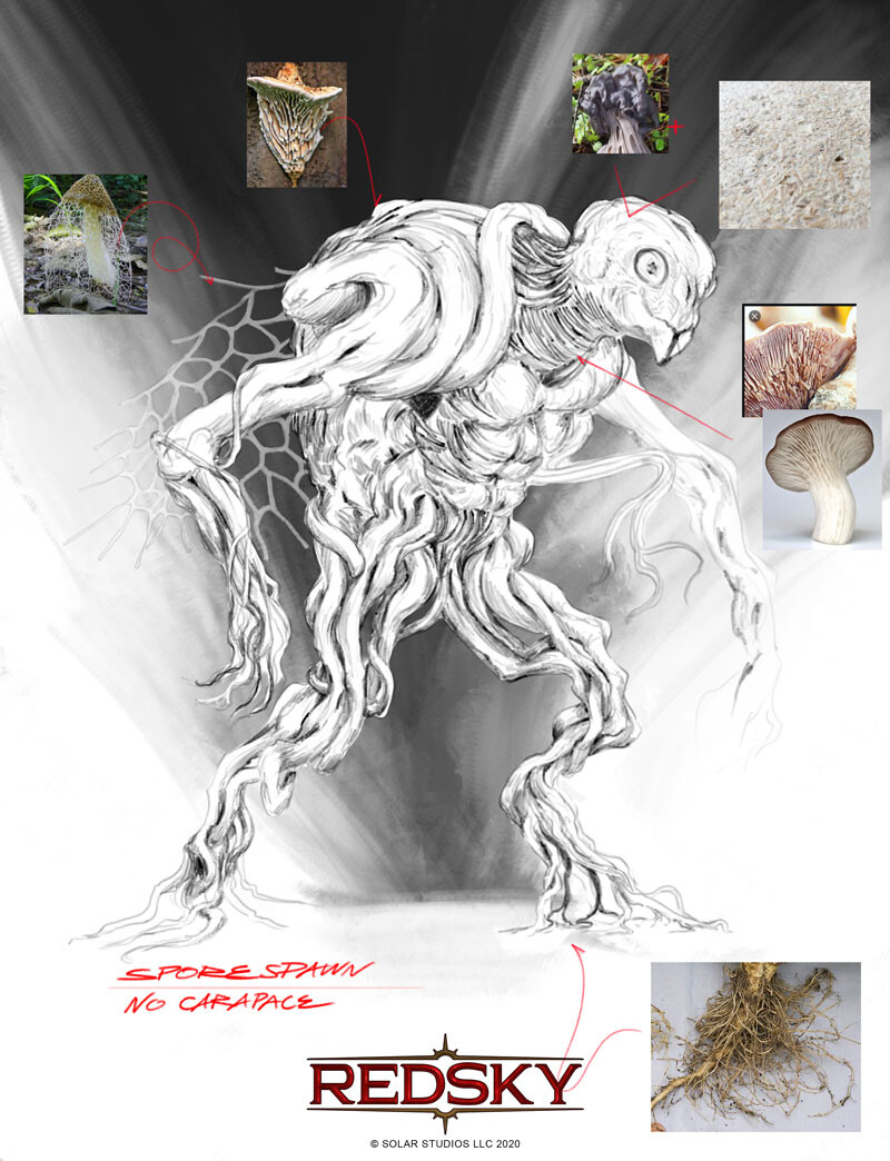 Anatomy of a Sporespawn