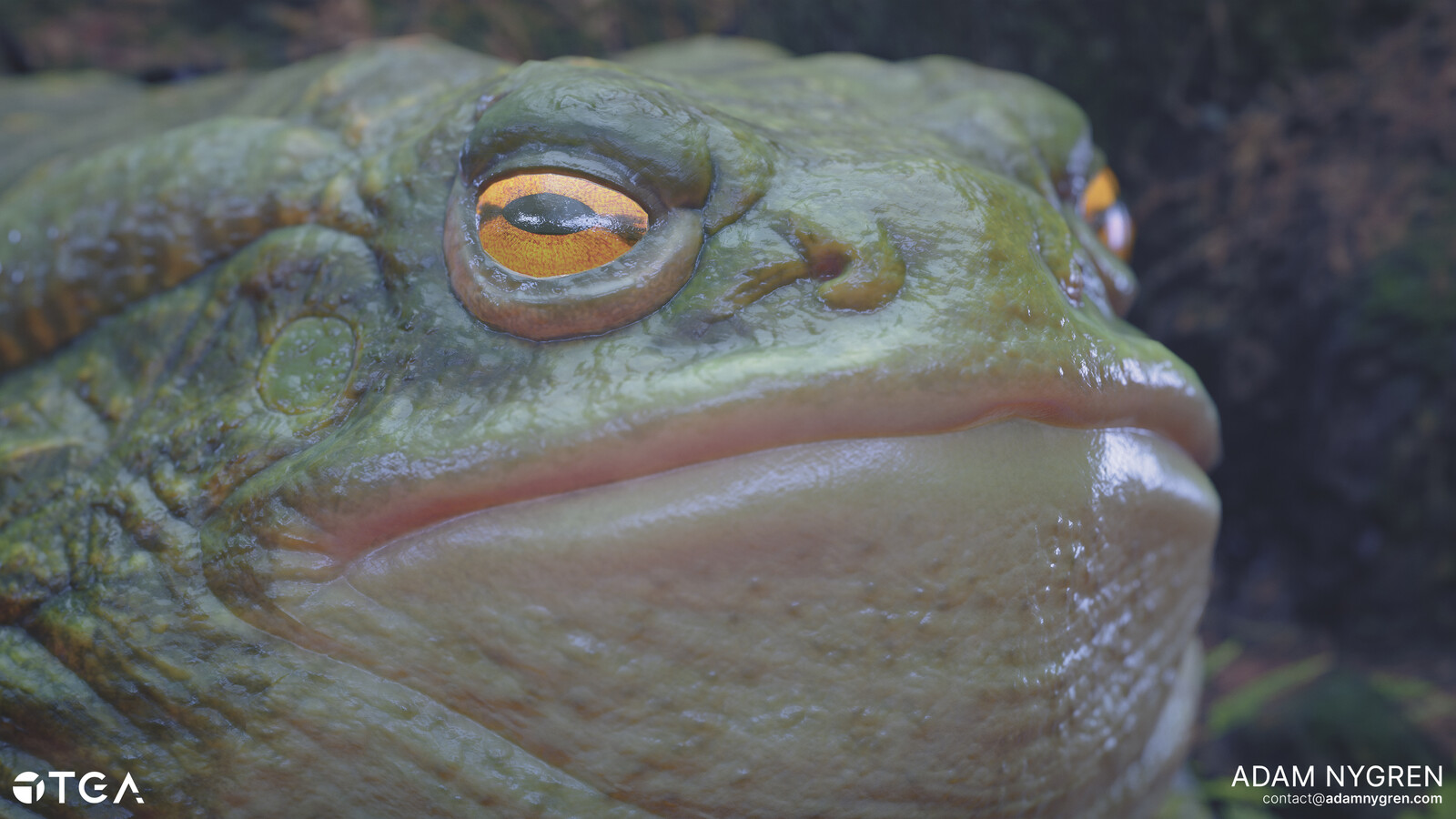 I'm using a subtle tiling detailnormal to break up the highlights on closeup shots and maintain some quality on lower resolutions.