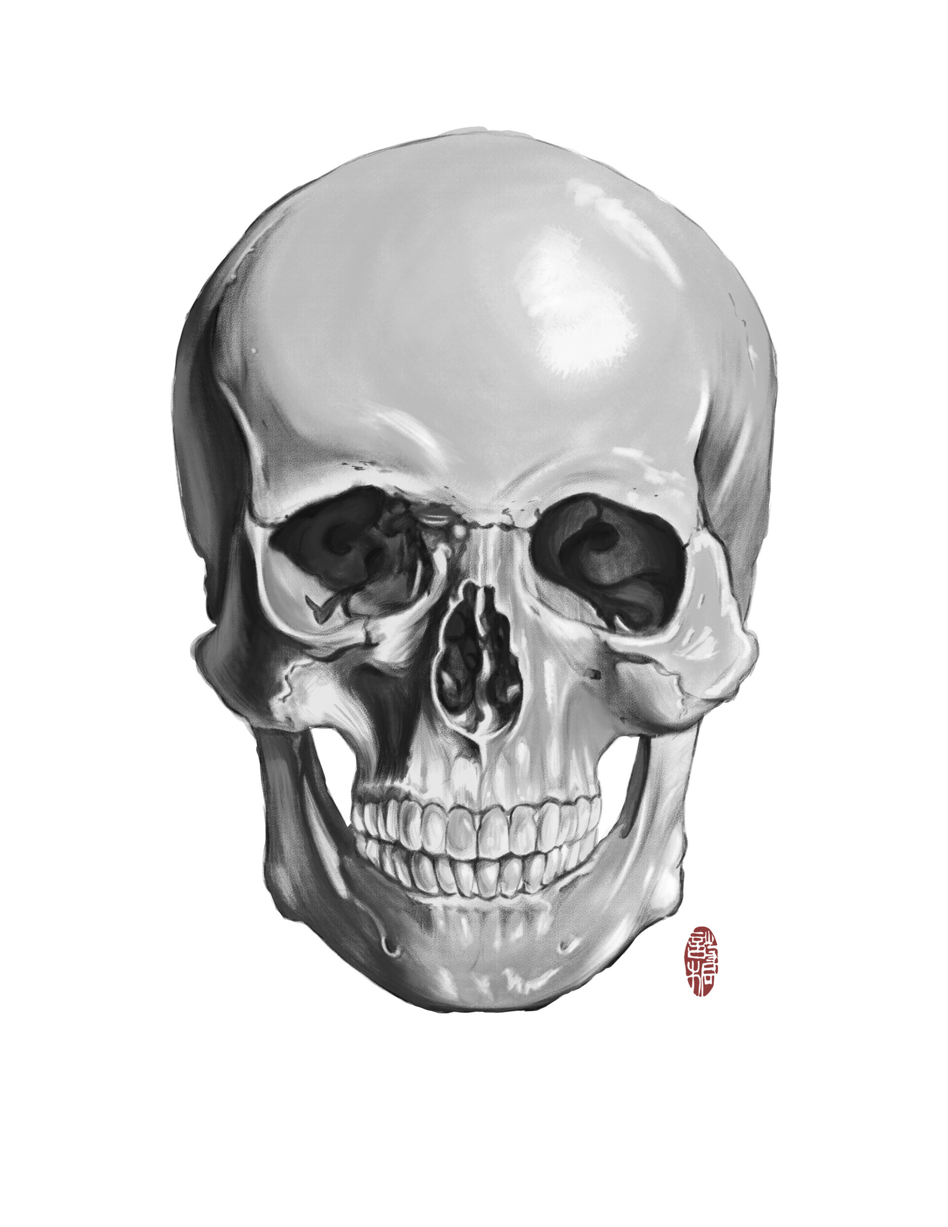 Череп рисунок