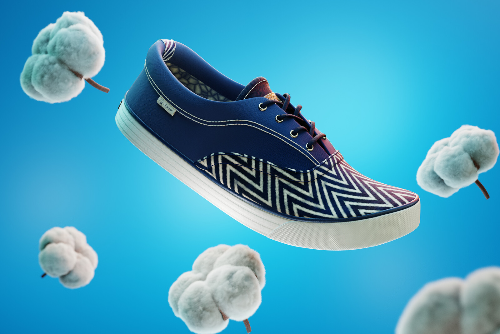 CGI Canvas Sneaker illustration