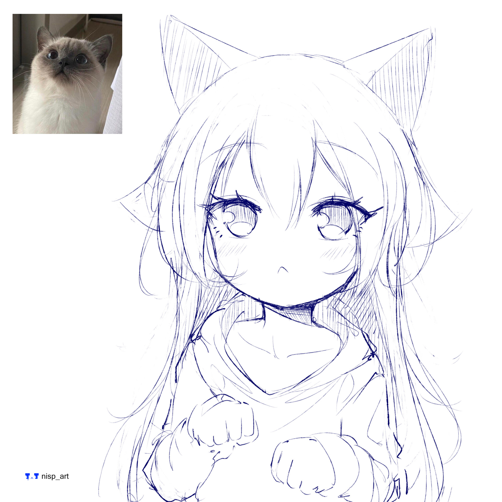 28 Anime cat ideas  anime cat cat art cat drawing