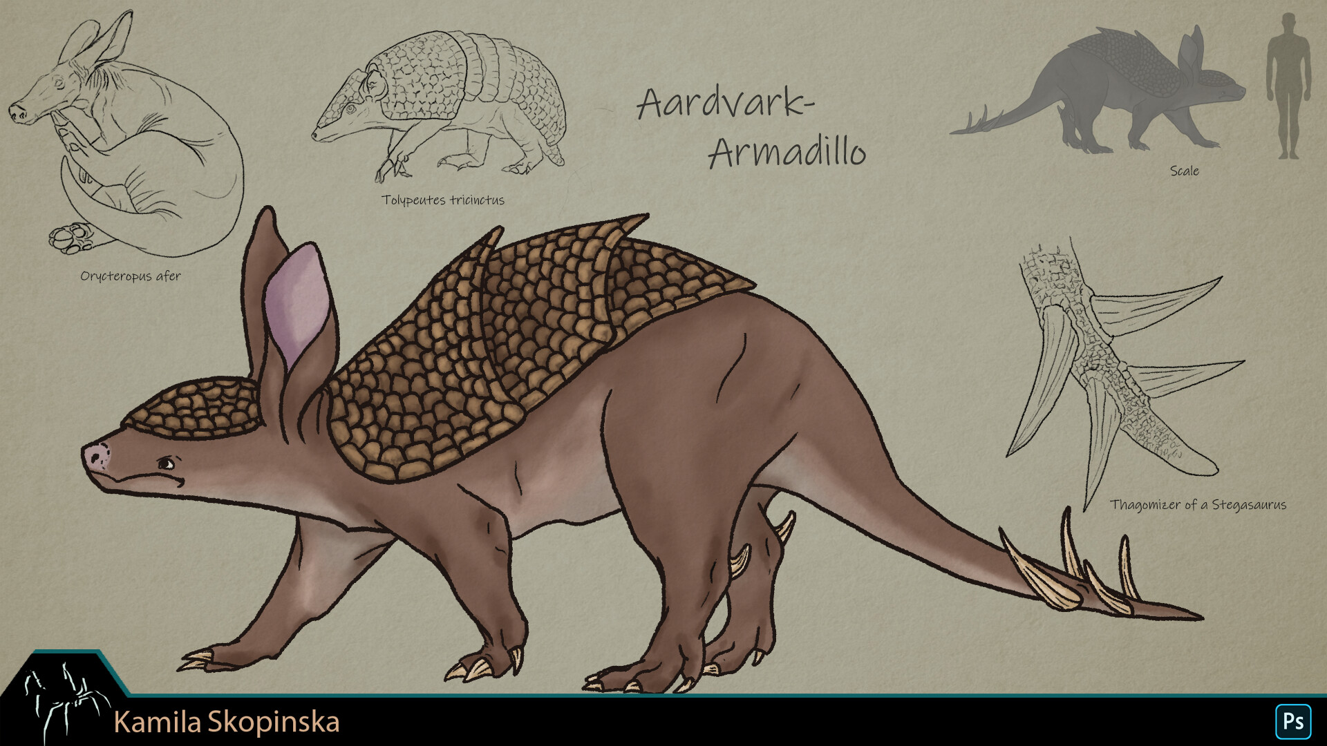 armadillo and aardvark