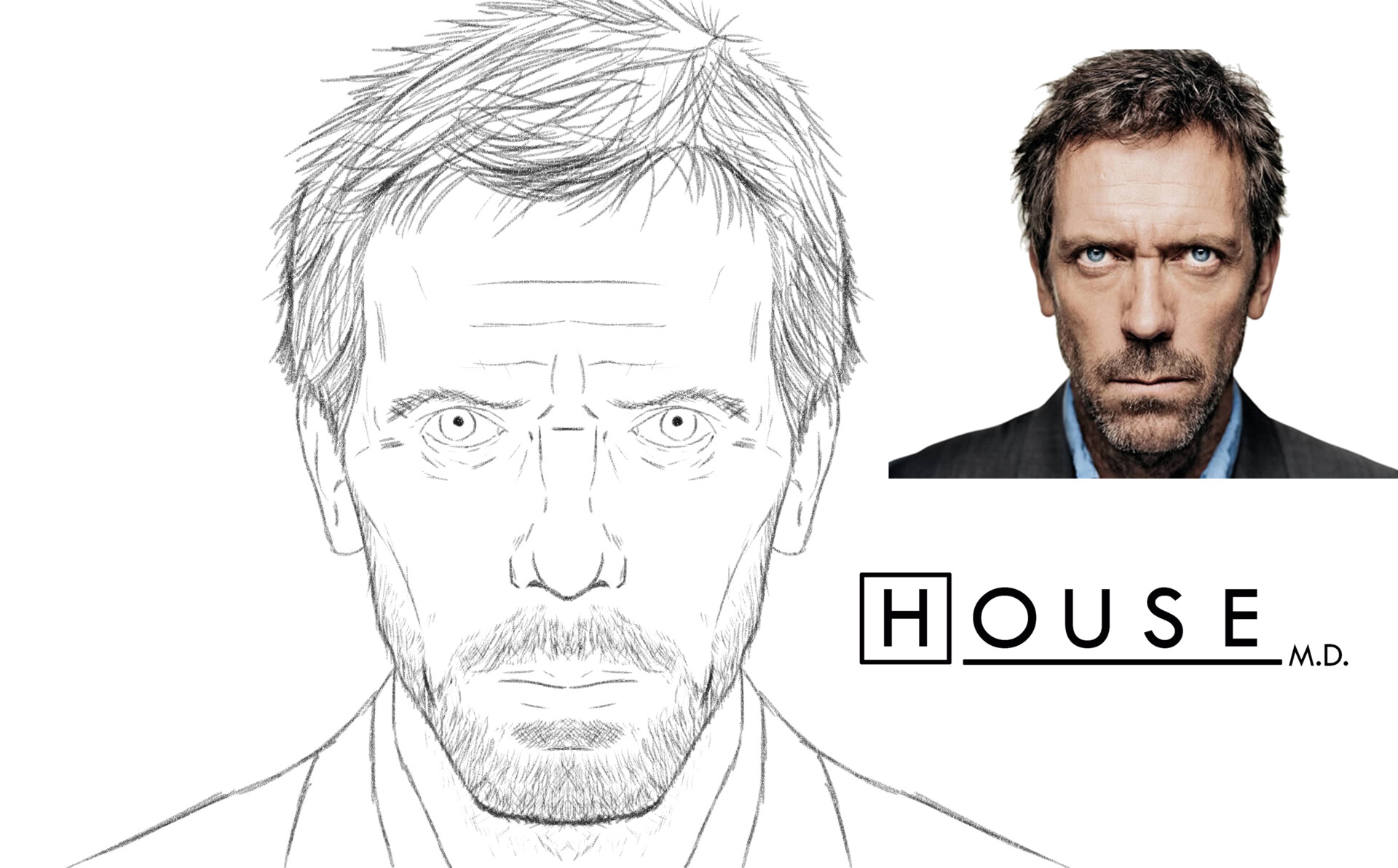 HUGH LAURIE - HOUSE MD | HUGH LAURIE A4 TRADITIONAL ART This… | Flickr