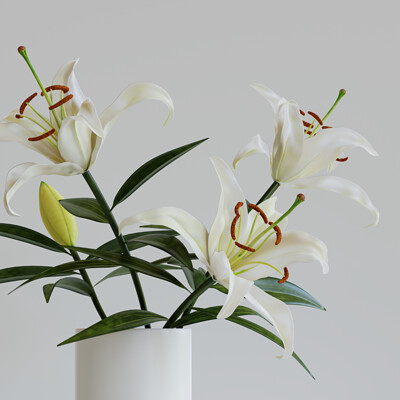 Tatsuki yamada lilium 02 finale 01