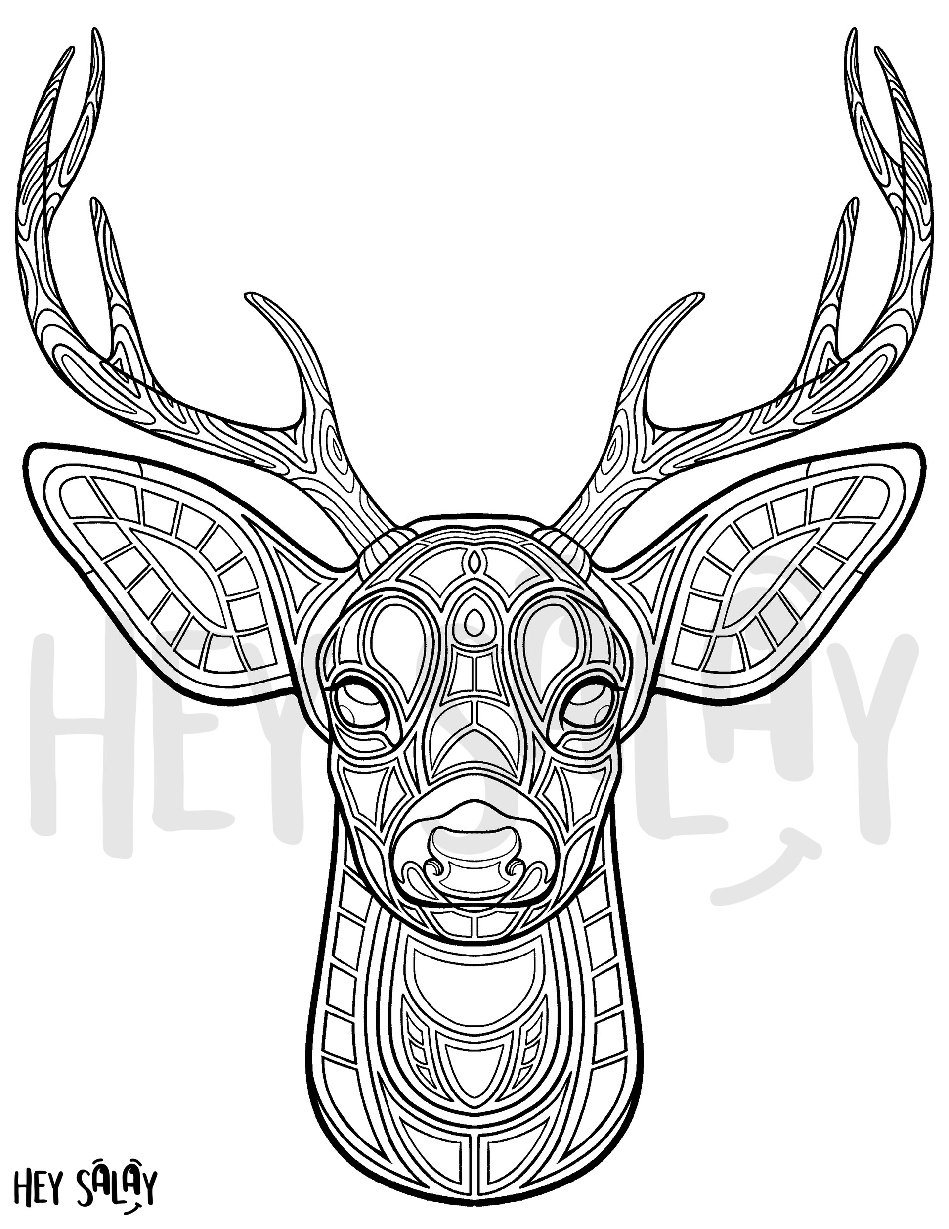 ArtStation - Jan 2021 - Animal Kingdom Coloring Book
