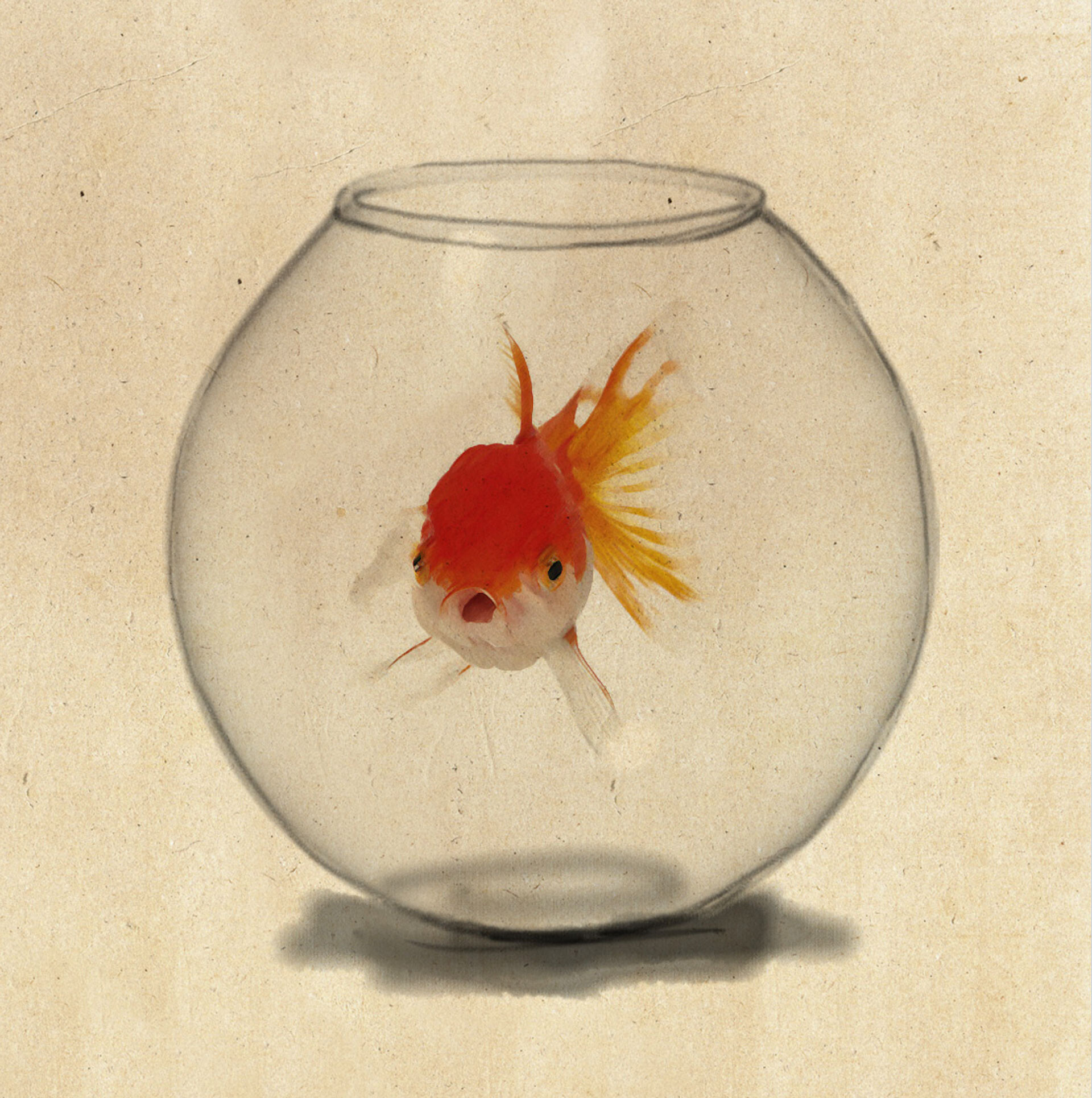 ArtStation Goldfisch