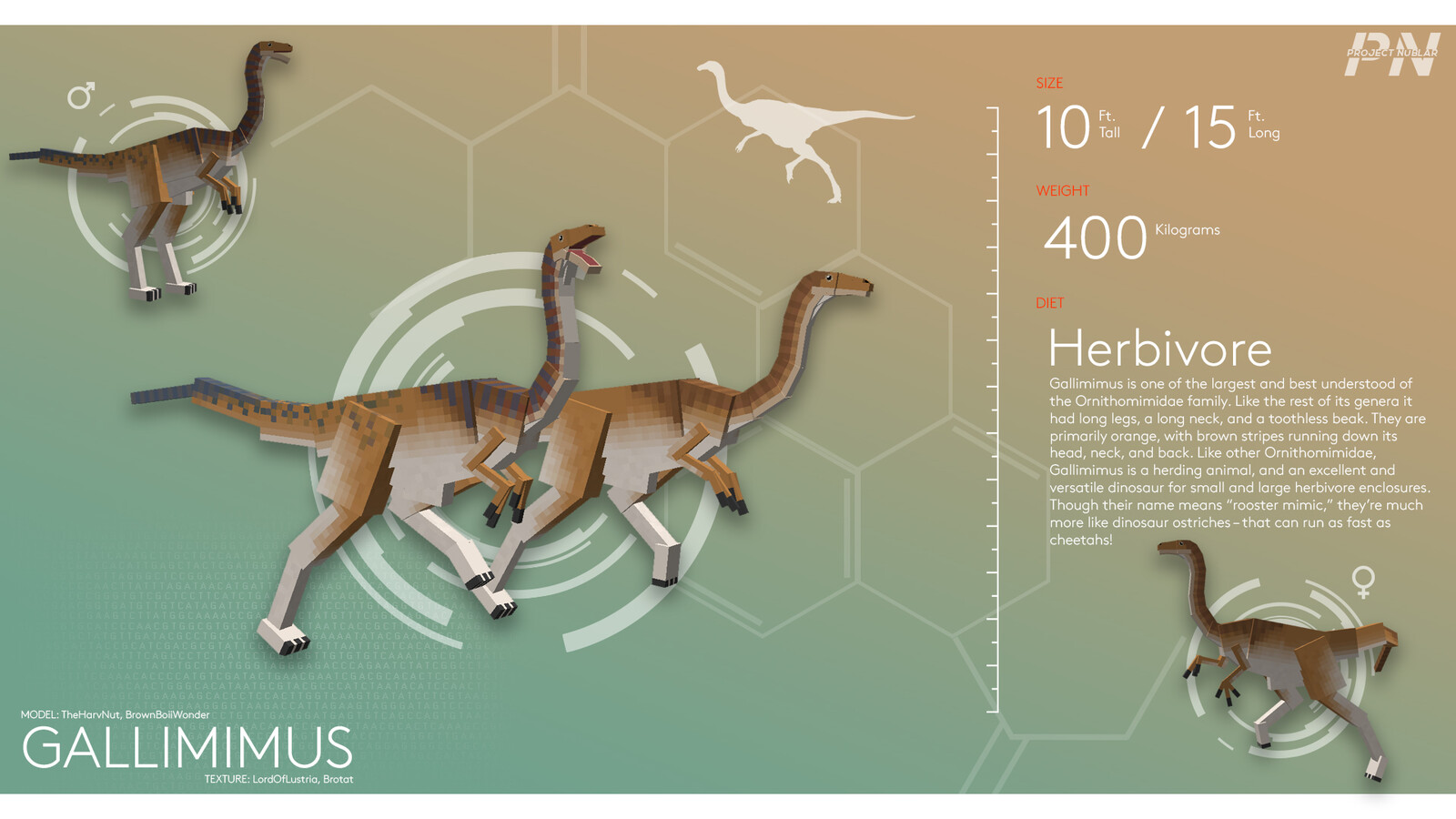 Gallimimus Showcase (Old)