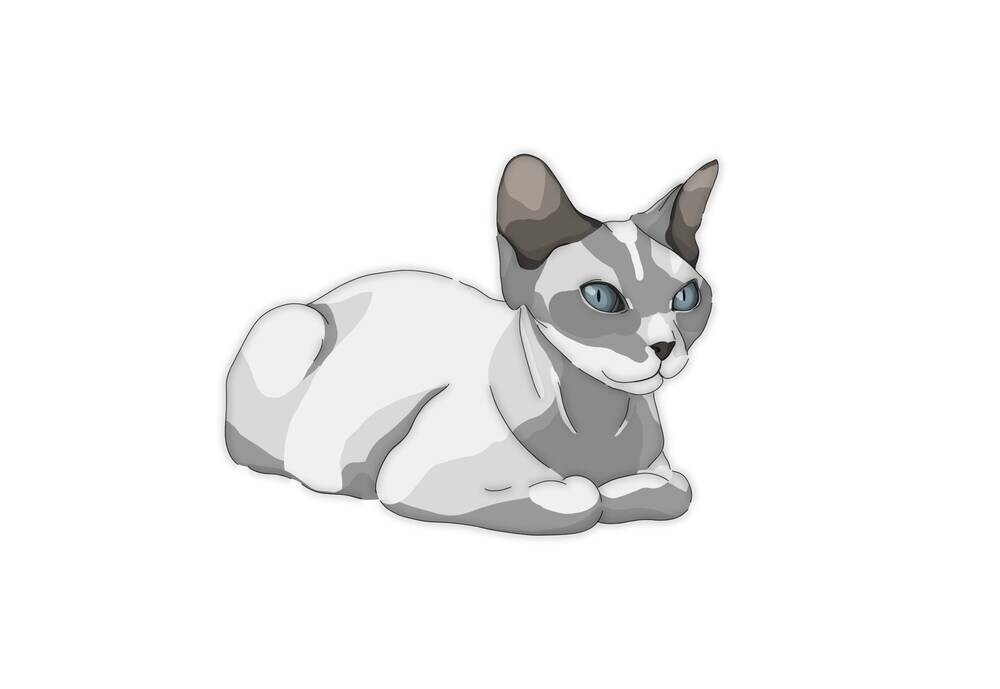 Minimalistic Sphynx