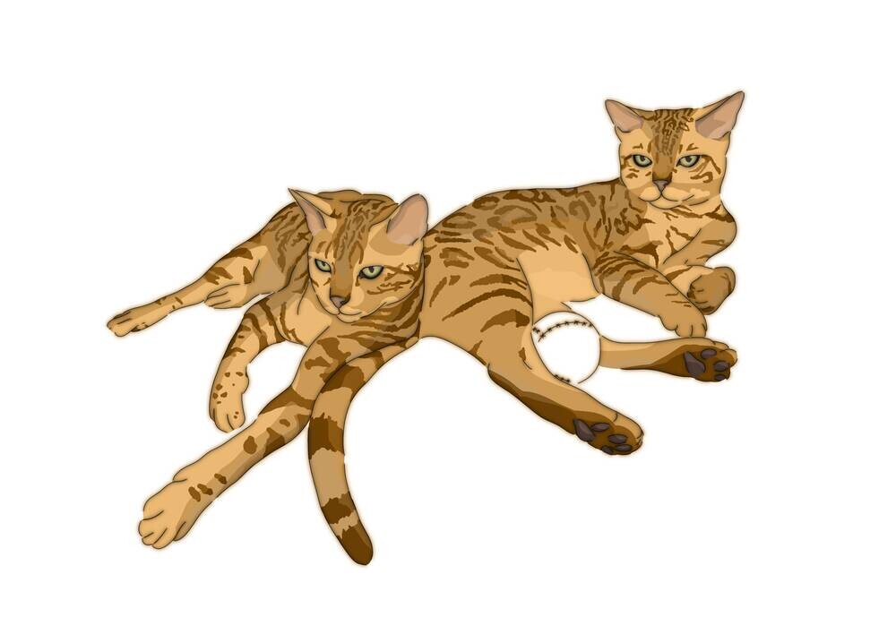 Oskar and Felicia