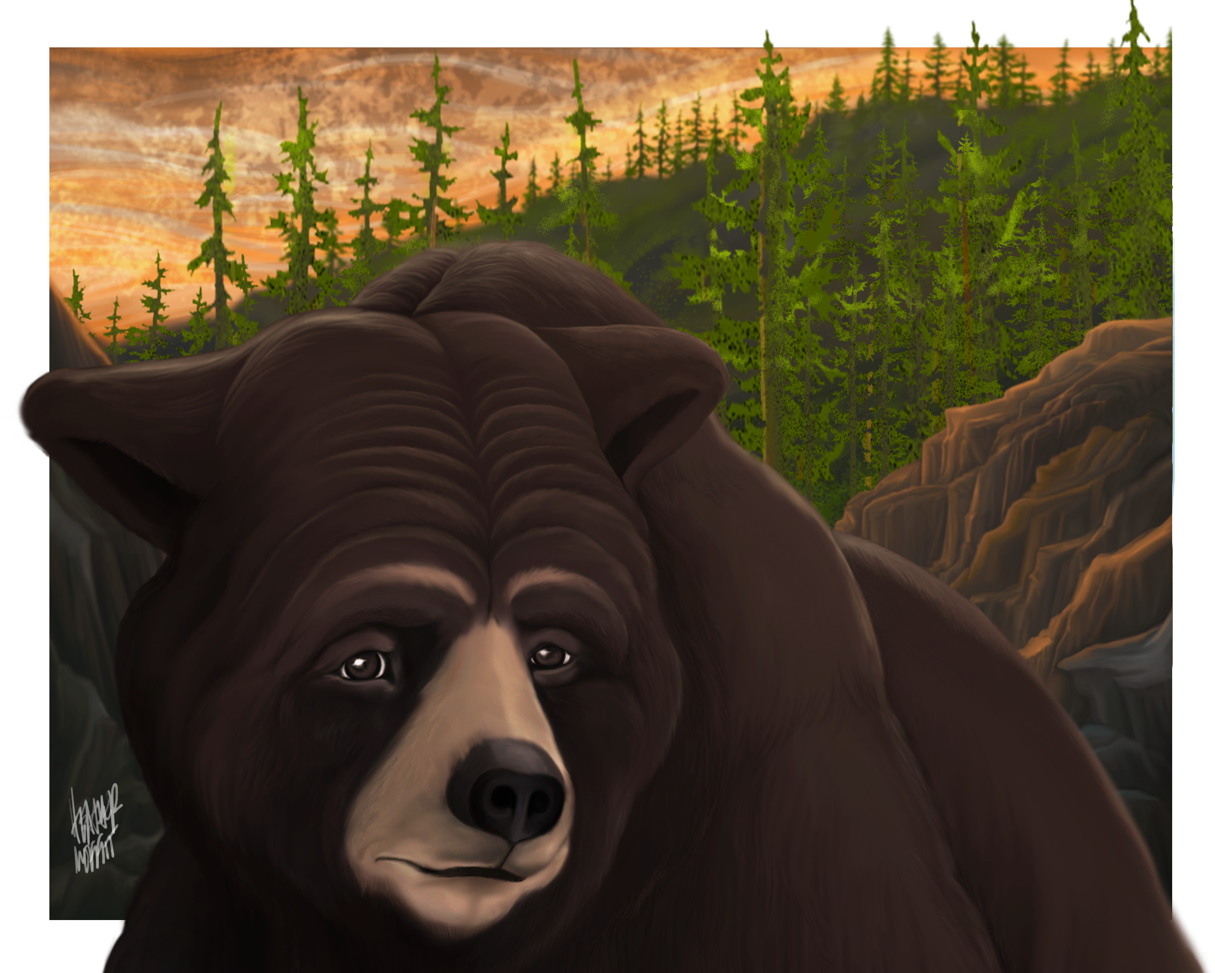 "Black Bear" final 