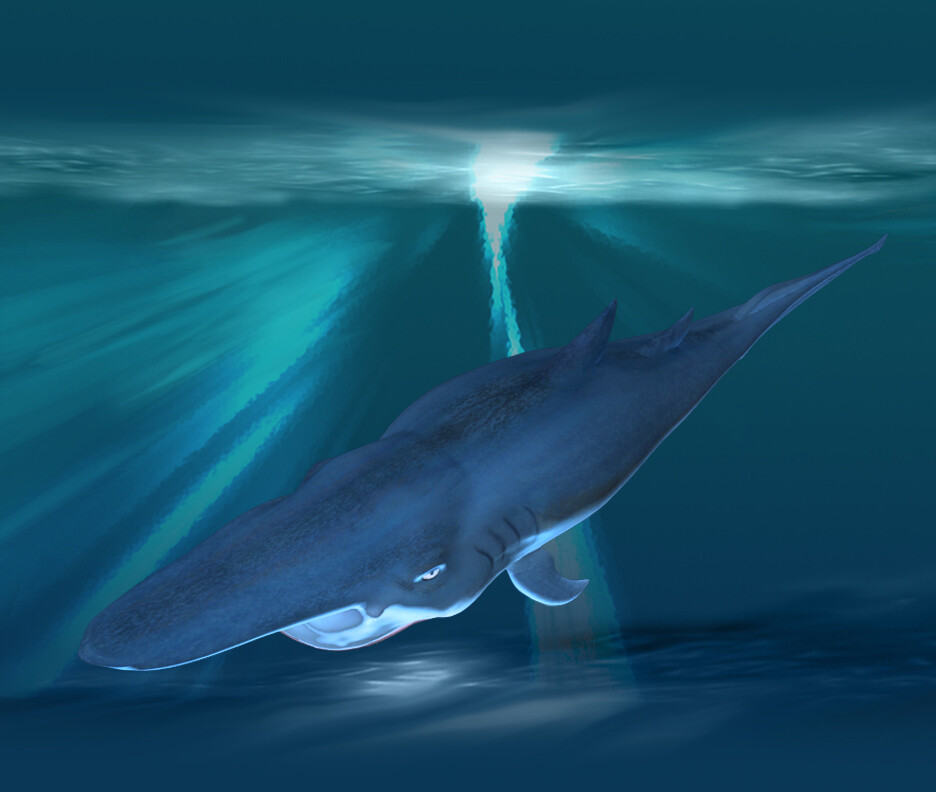 Goblin shark