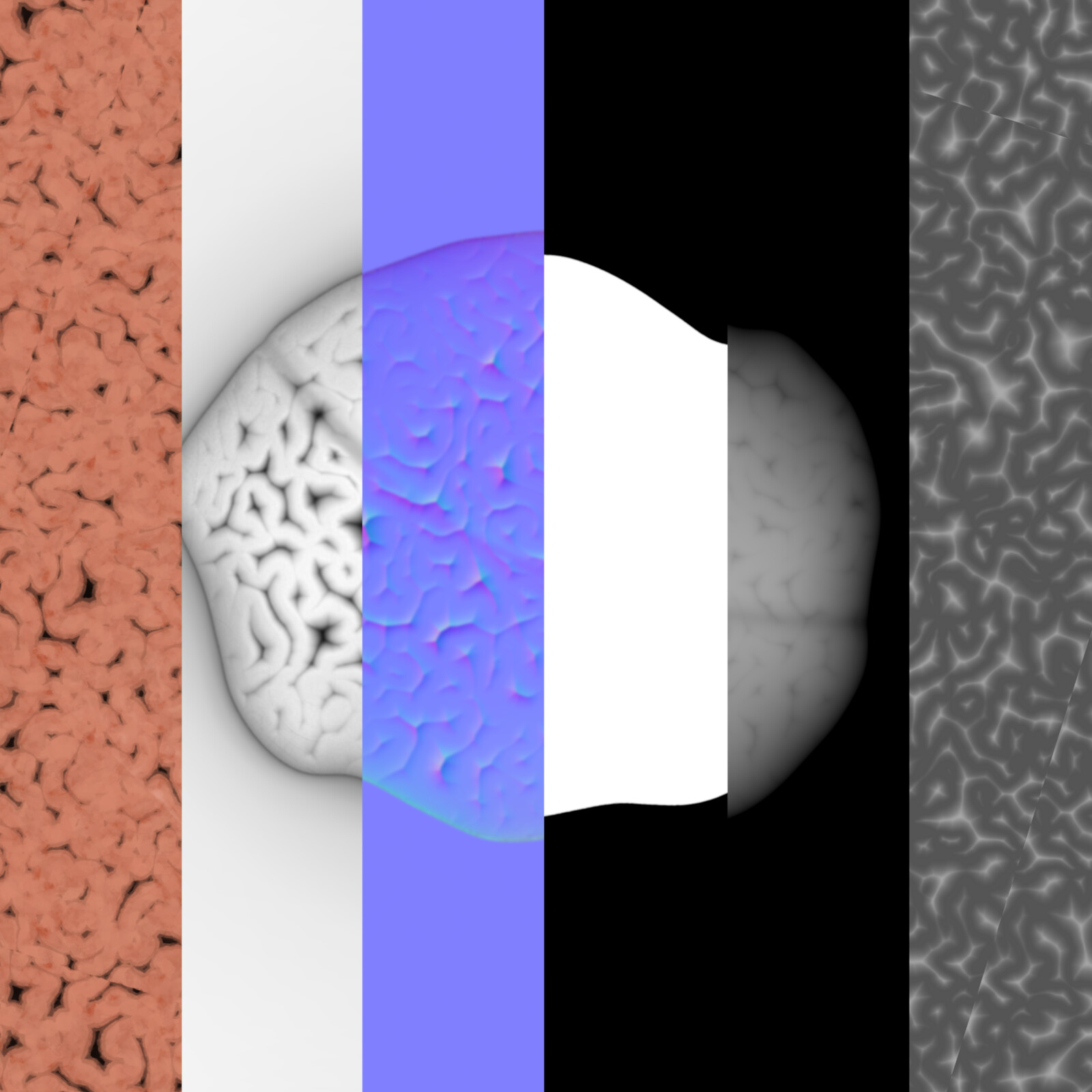 Basecolor, AO, Normal, Opacity, Height, Roughness