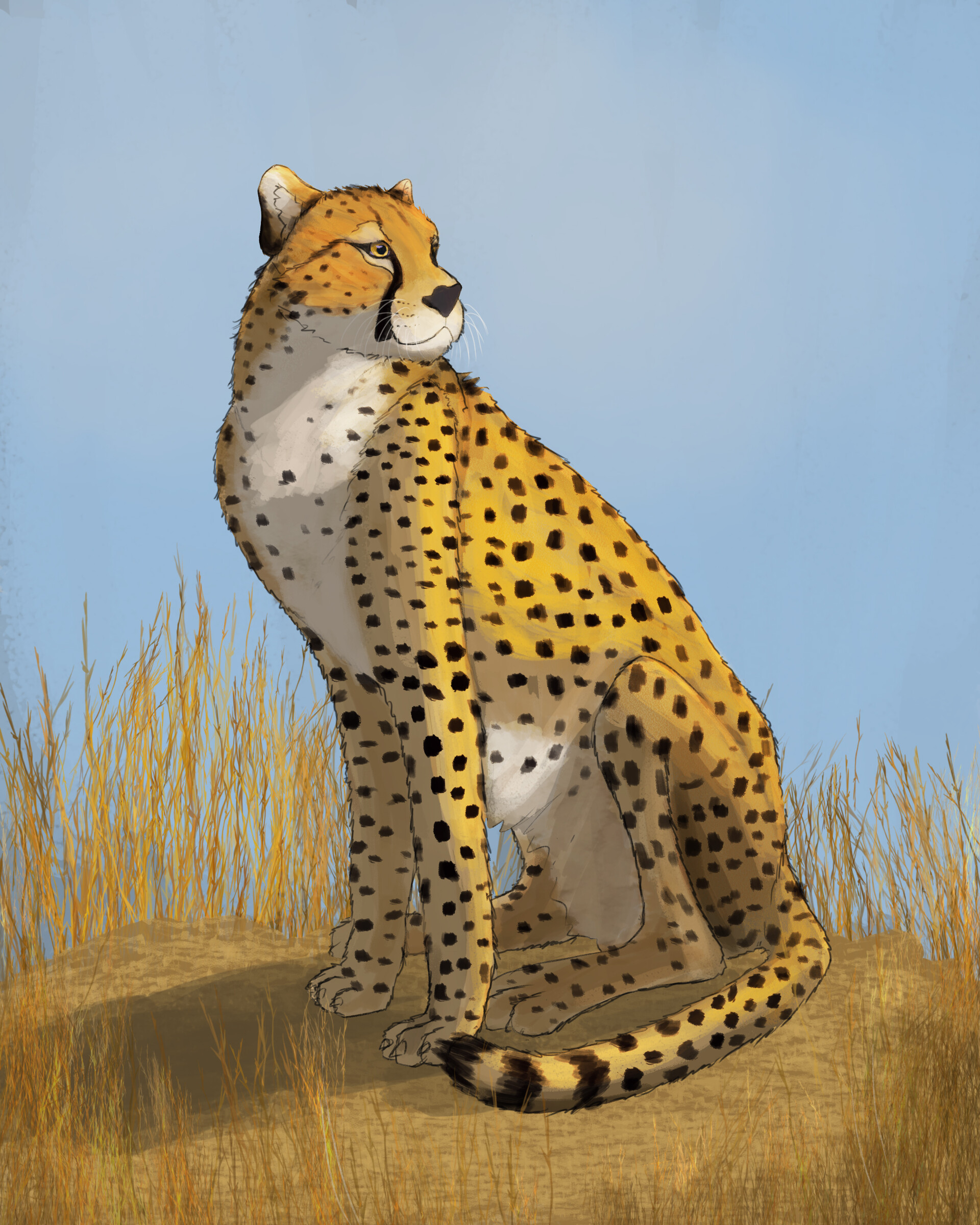 Cheetah Wallpaper - 1920x1080 by Shavari1 on DeviantArt