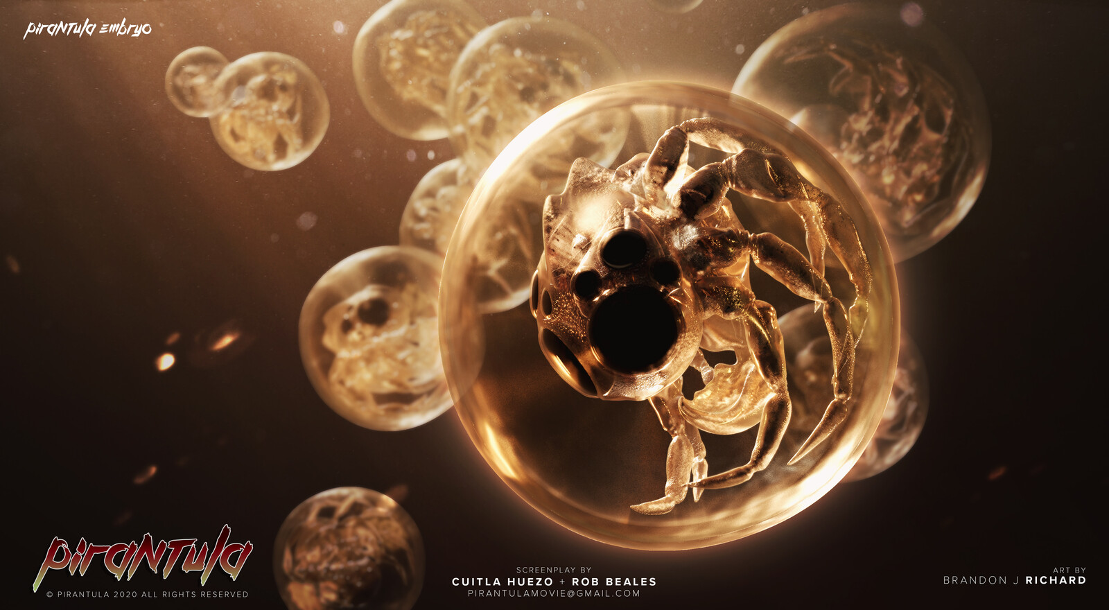 Embryo floating with others