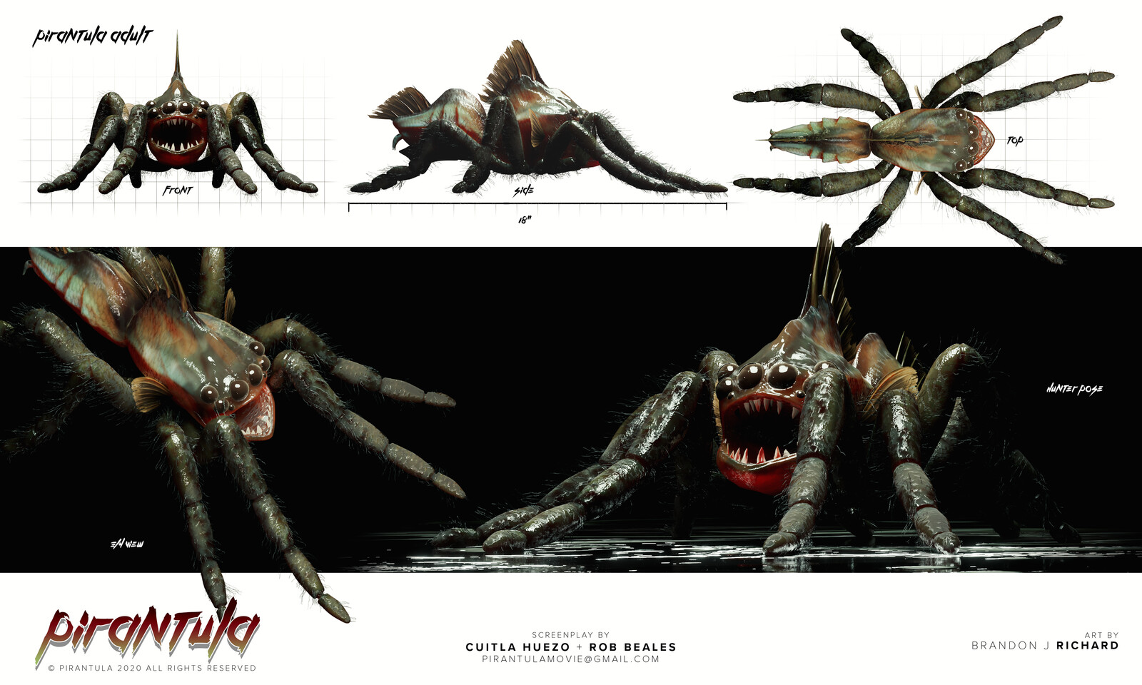Design sheet