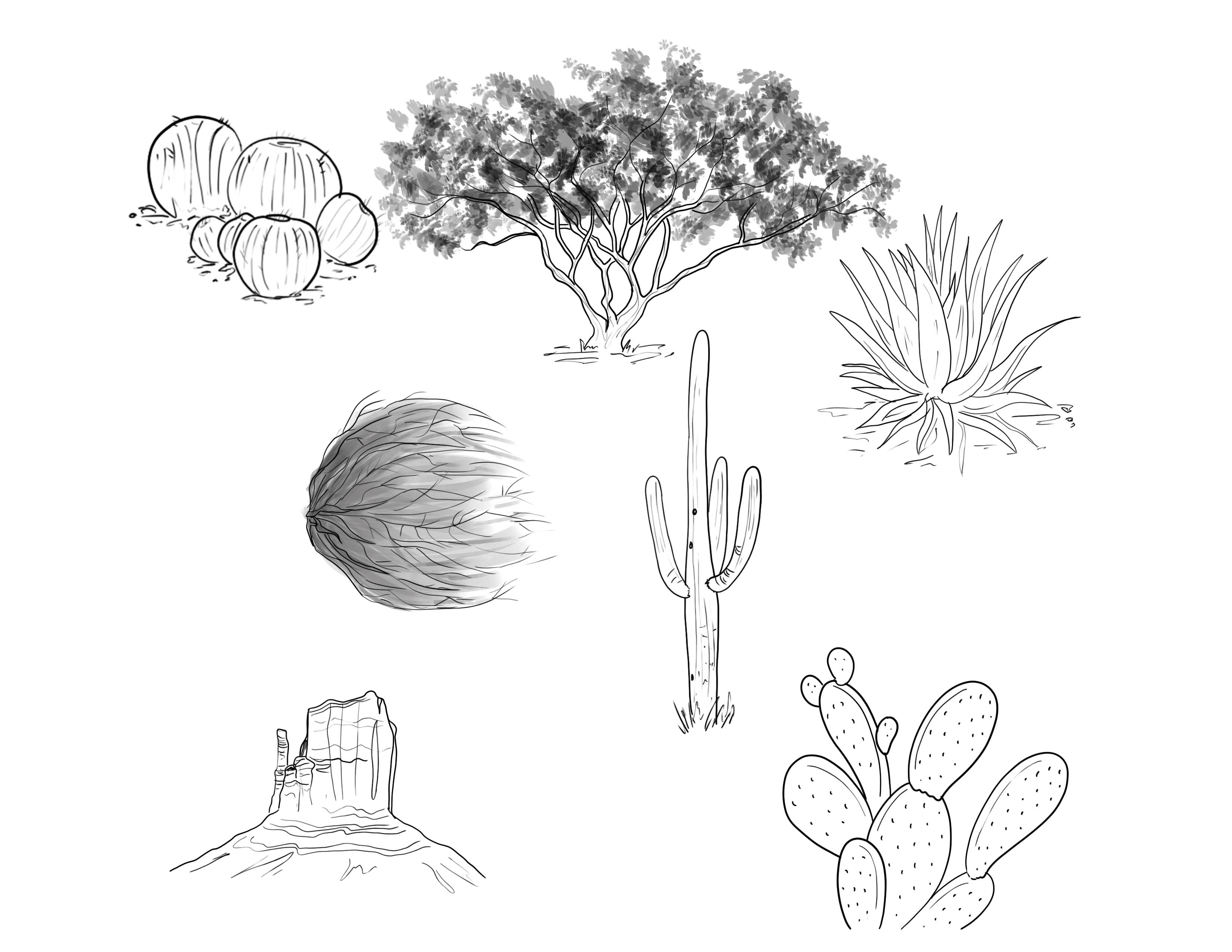 Plant concepts